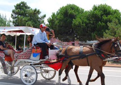 Sahilde fayton turları