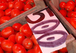 Domates 50 kuruşa düştü