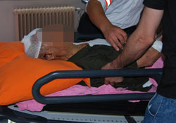 Öküzün çiftesi ağır yaraladı