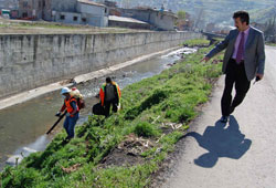 Canik'te sivrisinek mücadelesi