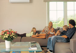 Klima zatürre edebilir