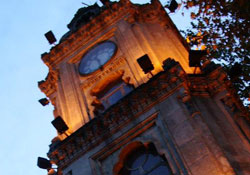 Tarihi kulede ot tehlikesi