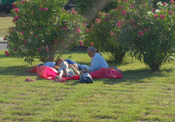 Sahil yine cıvıl cıvıl