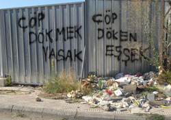 Çöp döken eşşek!