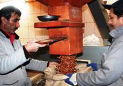 Hangi fındık daha randımanlı?