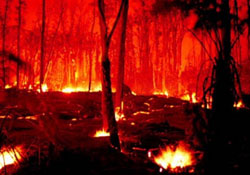 Doğru bilgiler verildi