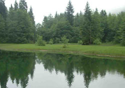 Yok olma tehlikesi var!