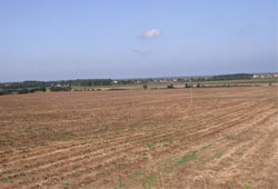 "Üniversitede iki bağ pancar yetiştirmekle tarım kenti olunmaz"