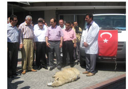 Belediye'ye yeni hizmet araçları