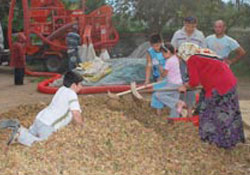 Patozcular umduğunu bulamadı