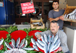 Müjdeci palamut geldi