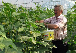 Üreticinin son gözdesi