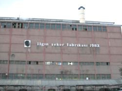 Ilgın Şeker Fabrikası 1 Milyon 150 Bin Ton Şeker Pancarı Alacak