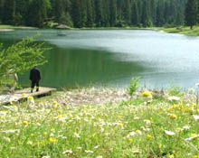Akgöl yayla turizmine açılıyor