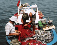 Balıkçılara sezon öncesi uyarı