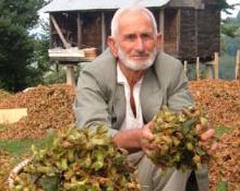 Üretici fındık kararnamesinde düzeltme bekliyor