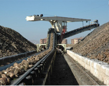 56. Pancar alım kampanyası başladı