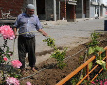 Örnek vatandaşa plaket