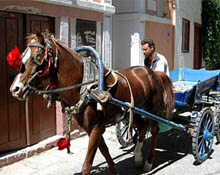 At arabacılığı tarih oluyor