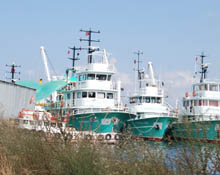 Hükümetin üvey evladıyız