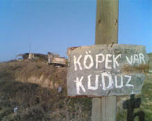 İkinci kuduz paniği