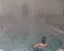 Kaplıcaya götürme vaadiyle kandırıldı