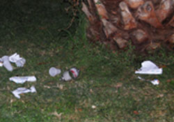 Parklar piknik alanı mı?