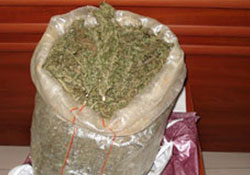 Kubar esrar ele geçirildi