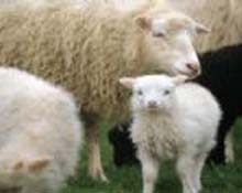 Amasya'da Yıldırım