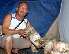 Sinop'ta ölümsüzlük mantarı yetişiyor