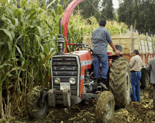 Üretimi 2010'da başlıyor