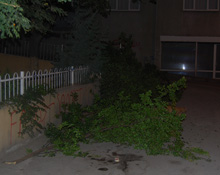 Sorumsuzluğun da böylesi