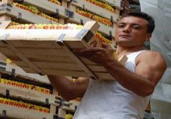 Aslanın Ağzından Ekmek Alıyor Aslanın Ağzından Ekmek Alıyor