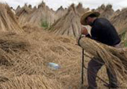 Delta'dan Avrupa'ya ihraç!