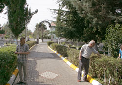 Mezarlıklar bakıma alındı