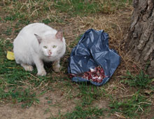 Bayram harçlığını aldı