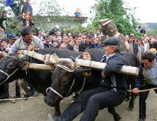 Öndöl yarışmasına yasal işlem