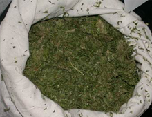 Samsun` da uyuşturucu operasyonu