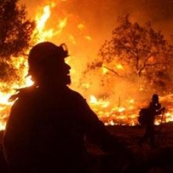 Ormanlar "Yanıyorum" Diye Sms Gönderecek