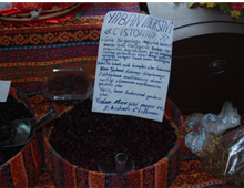 Kış ayı aktar ayı