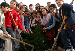 Kurugökçe'ye "Şehit Ormanı"