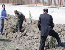 Mahkumlara fidan dikme cezası