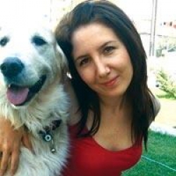 80 Günlük Kabus Böyle Bitti