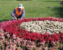 Samsunda yeşil alan oluşturuldu