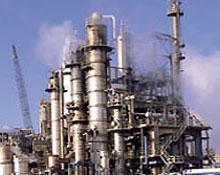 Petkim 440 Kişiye İş Veriyor