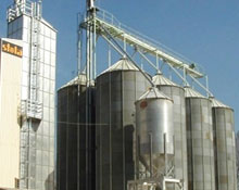 Sanayi üretimi yüzde 6.3 daraldı