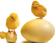 'Kişi Başı Hedefi 250'ye Çıktı