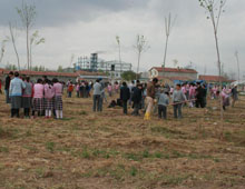 Ağaçlandırma seferberliği başlatıldı