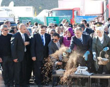 Her bebek için bir fidan