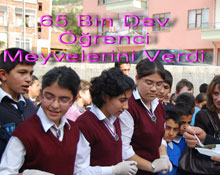 65 bin dev öğrenci meyvelerini verdi